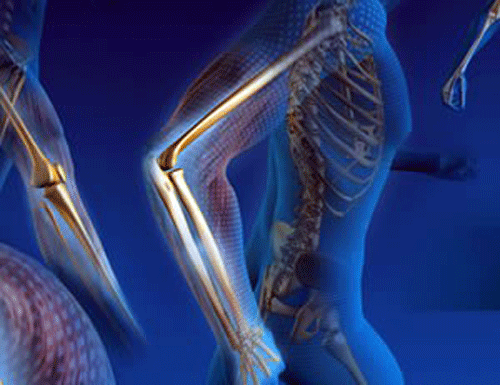 Building Stronger Bones